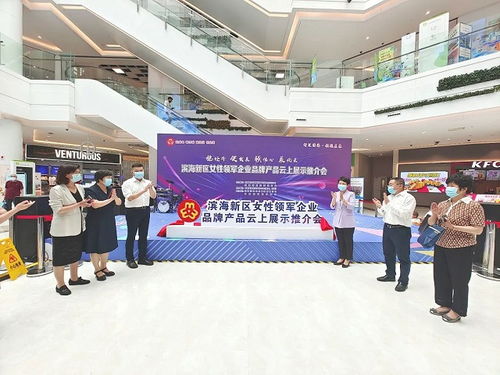 濱海新區(qū)女企業(yè)家聯(lián)盟成立，領(lǐng)軍企業(yè)品牌產(chǎn)品云上推介會(huì)共話發(fā)展新篇